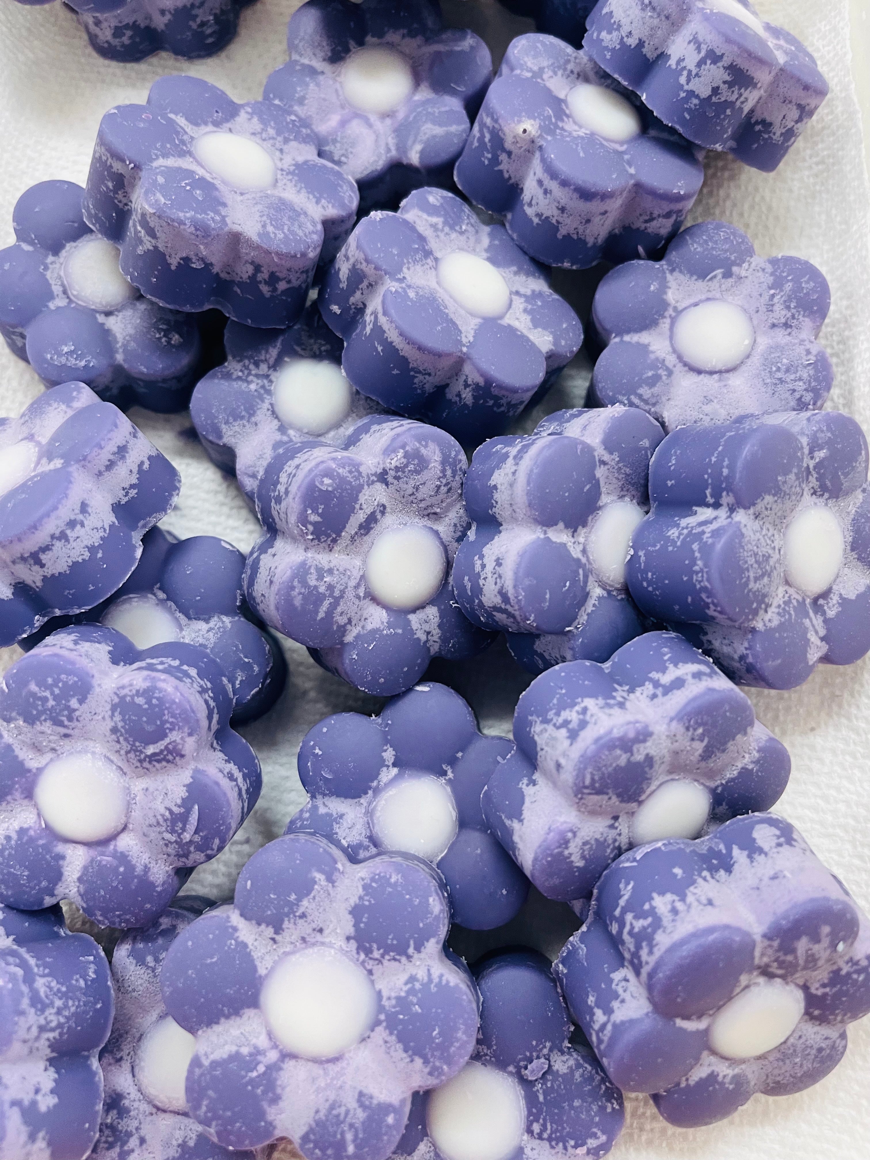 Daisy Wax Tarts Sample Box