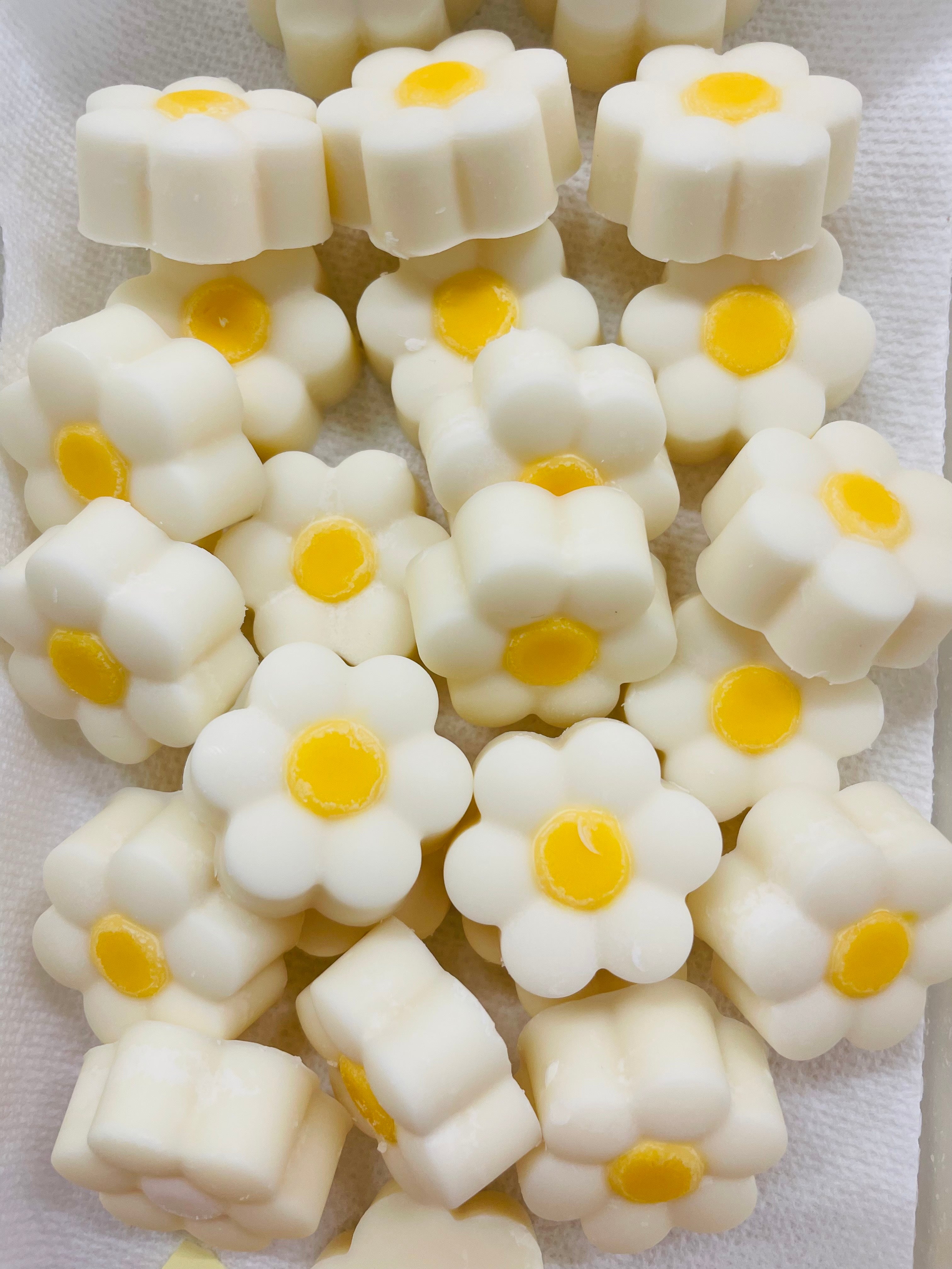 Daisy Wax Tarts Sample Box