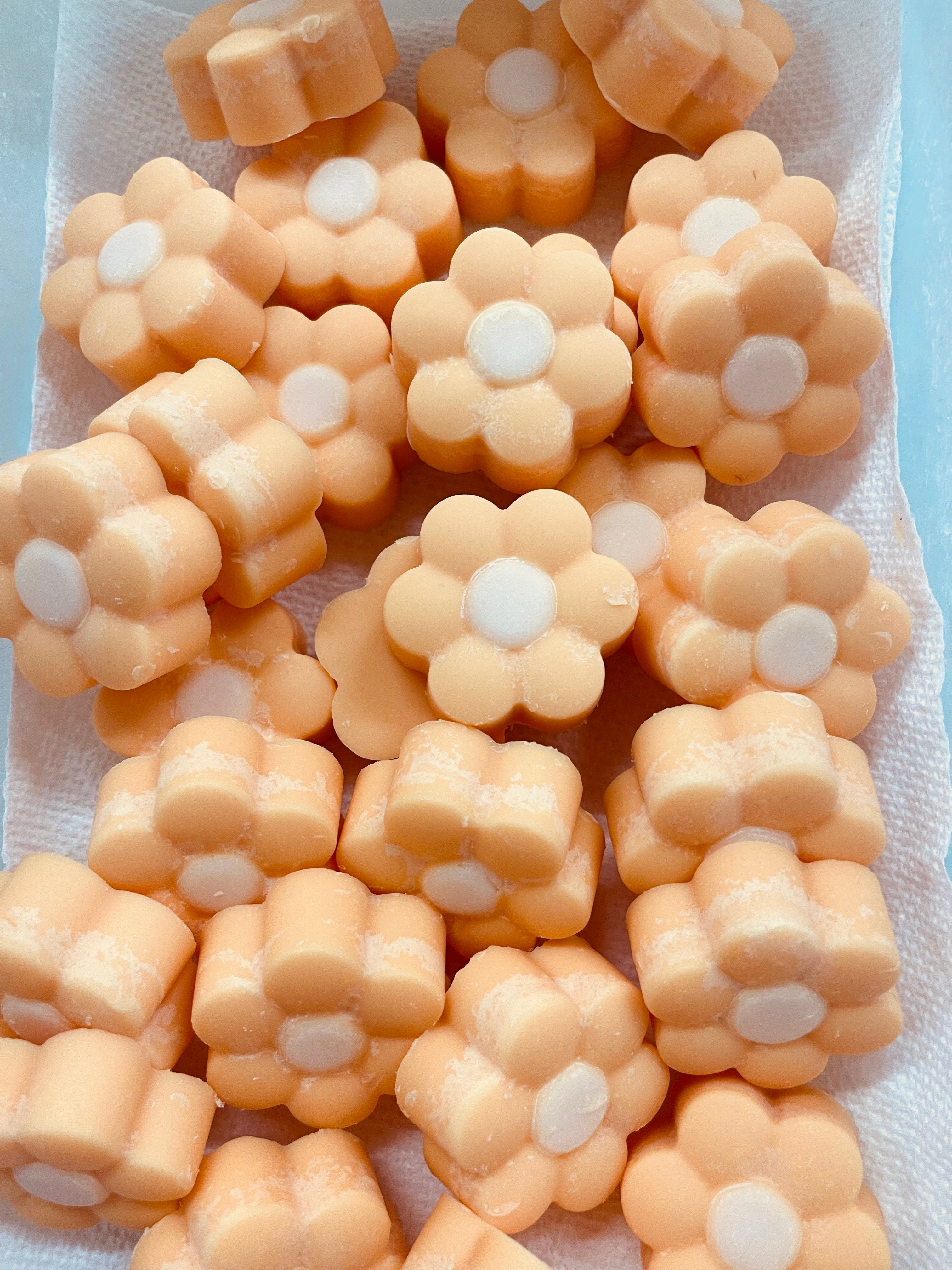 Daisy Wax Tarts Sample Box