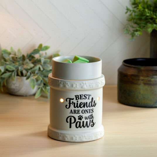 Warmer: Best Friends Illumination Fragrance Warmer